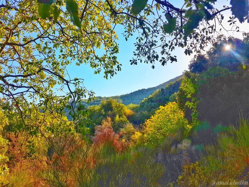 some beautiful paths can't be discovered without getting lost! 👌📷 🍃 🌳... (Beqaa Valley)