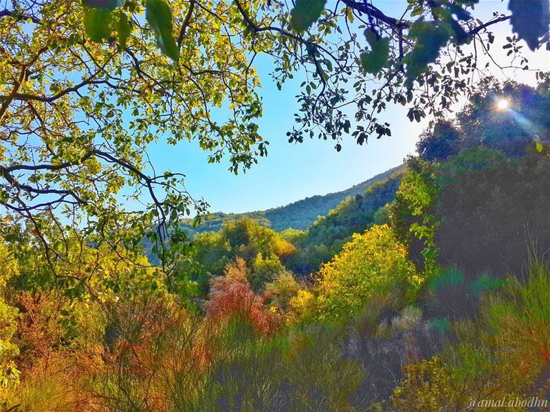 some beautiful paths can't be discovered without getting lost! 👌📷 🍃 🌳... (Beqaa Valley)