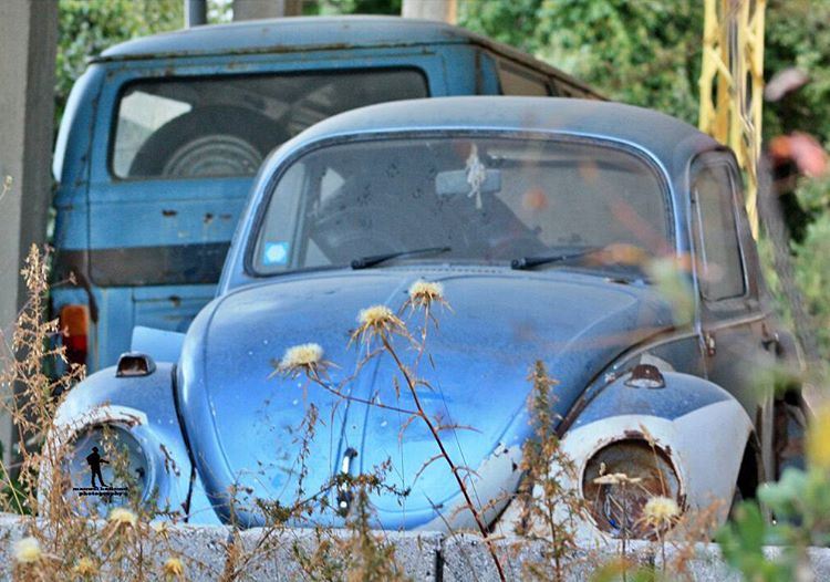 Some beautiful paths can't bediscovered without gettinglost. oldcar ...