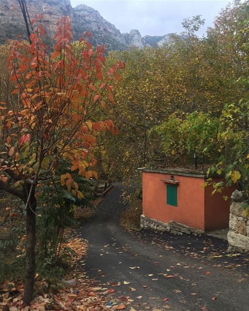 Some beautiful paths cannot be discovered without getting lost  roadtrip ... (North Governorate)