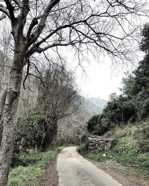 Some beautiful paths cannot be discovered without getting lost  ... (Dareb El Amar)