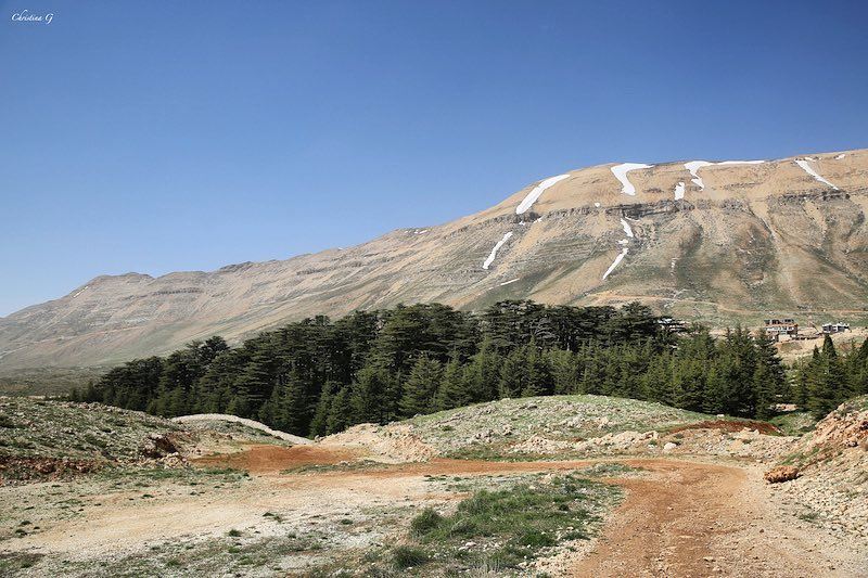 Some call it the Cedars - I call it my Heaven 💙❤️  a7labaladbil3alam ... (Cedars of God)