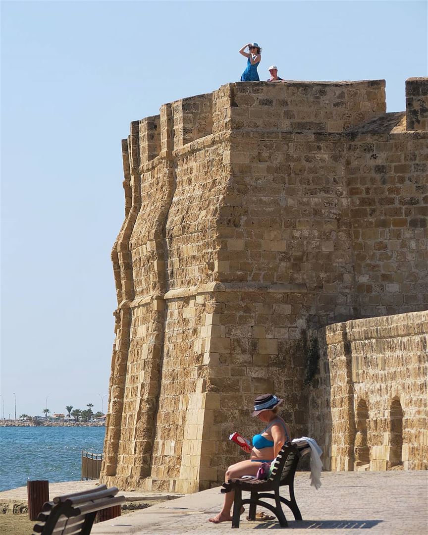 ... Some climb to take a better look 📷While others just enjoy a book 📖- (Larnaca, Cyprus)