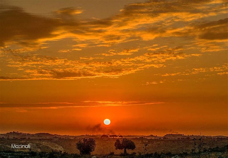 Some day you will find the one who will watch every sunrise with you until... (Lebanon)