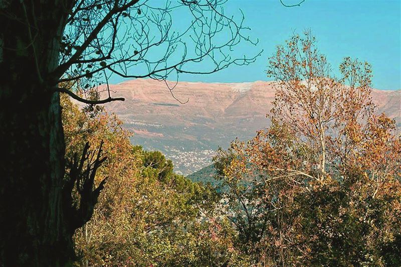 Some days are for falling in love with your time in solitude ⛰⌛️  lebanon🇱