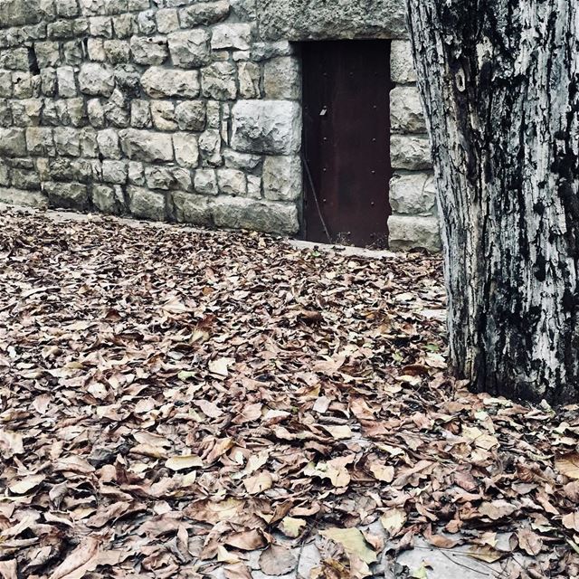 Some doors are meant to be kept closed 🚪🍂....... liveoutdoors ... (Ehmej, Mont-Liban, Lebanon)