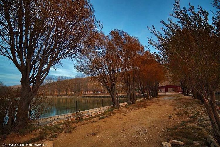 Some journeys take you farther from where you come from, but closer to... (3youn Orghosh)