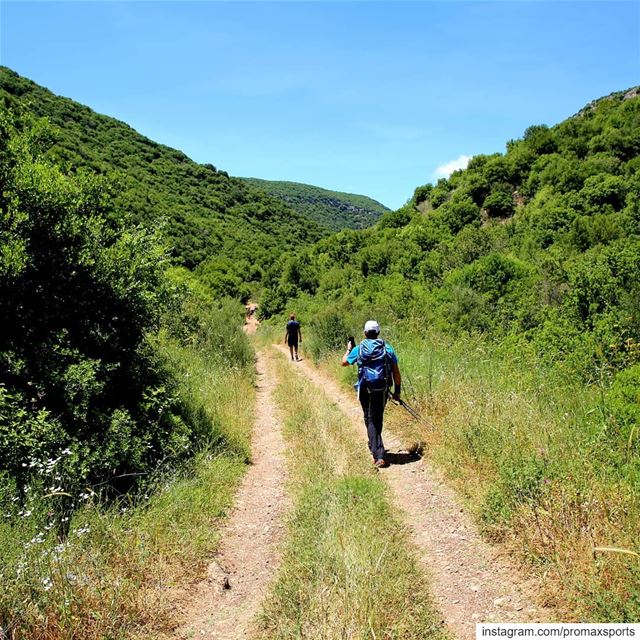 Some of the photos we took today during our hike in Zebkine, South Lebanon... (South Governorate)