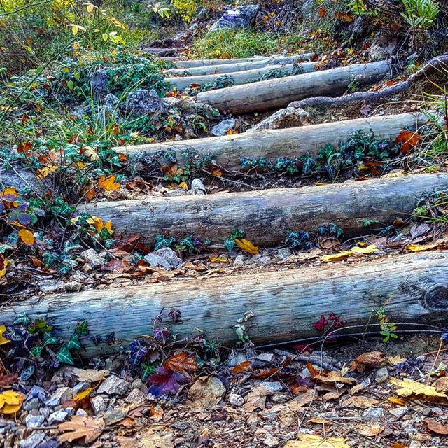 Some paths can't be discovered without getting lost... hikinglebanon ... (Horsh Ehden)