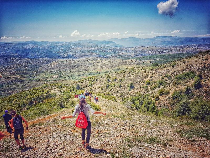 Some people are about to  fall, others are just enjoying the  scenery🤣... (Réserve naturelle du Chouf)