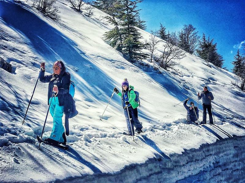 Some  smile, some  focus, some  fall and some  laugh 😂 snowshoeing ... (Barouk Cedar Forest)