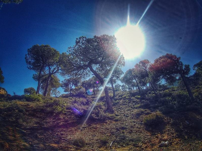 Some  sunrises are like Hellos from God ☉ trees  livelovelebanon ... (Baskinta, Lebanon)