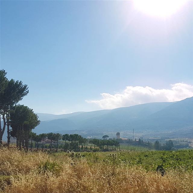 Some sunshine won't hurt ig_respect  instaamici  wearelebanon ... (West Bekaa)