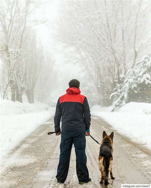 Some things just fill your heart without trying 🐶... snow  snowday ... (Laklouk)