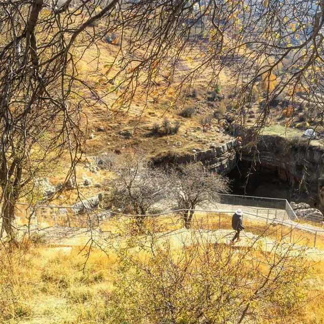 "Some walks you have to take alone"  notmeinthepic  mothernature ... (Tannourine-Balou3 Bal3a)