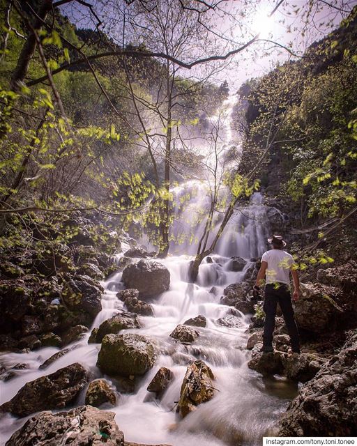 Some will spend all their life in competition with everyone else, and... (Lost In Lebanon)