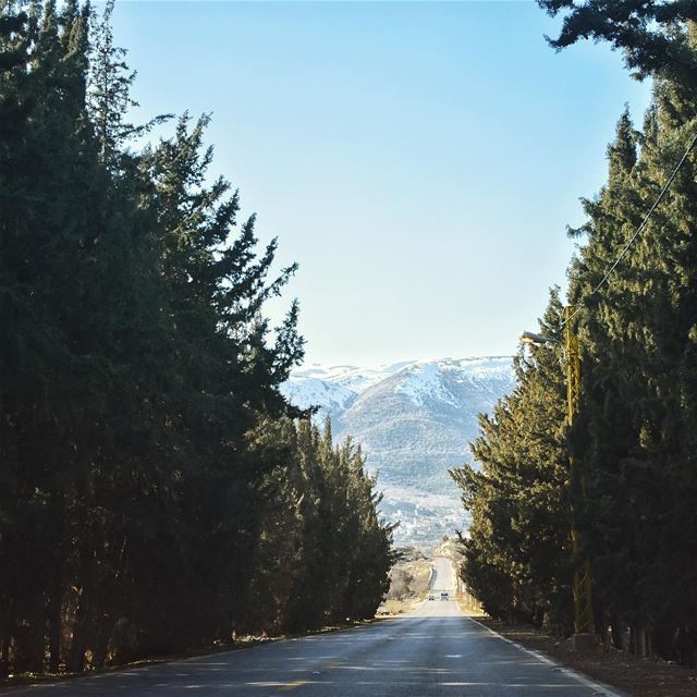 Someday calls for a road trip in the... (Jeb Janine)