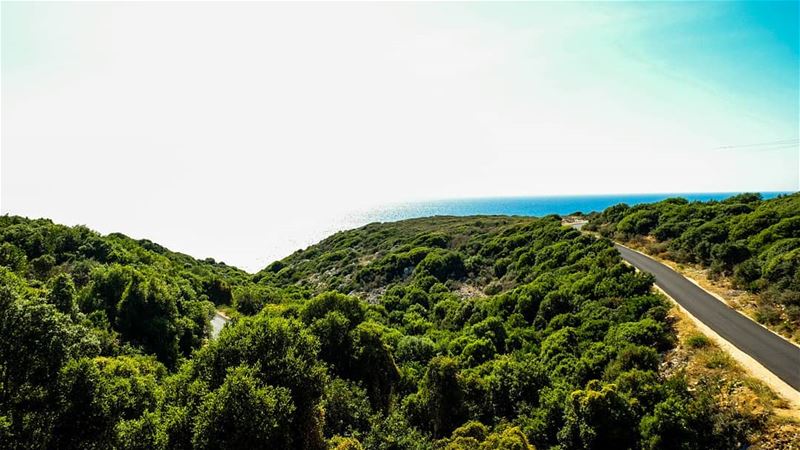 //Something beautiful on a horizon// photo photography photographylovers... (Anfeh Al-Koura أنفه الكورة)