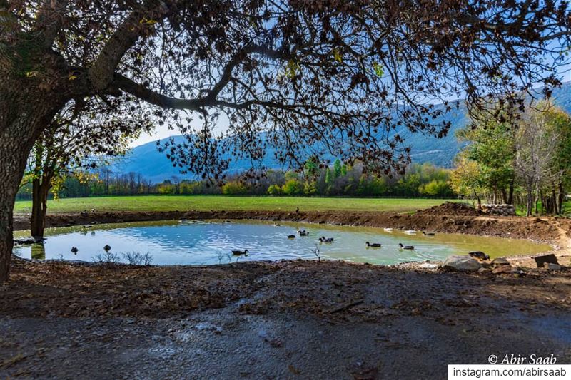 Sometimes, all you need is a break, in a beautiful & calm place like this,... (Beqaa Governorate)