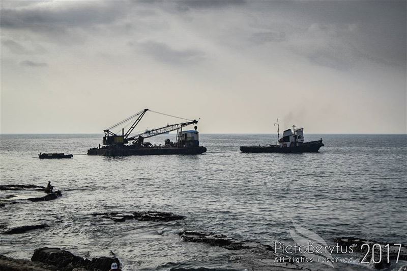 “Sometimes, from beyond the skycrapers, the cry of a tugboat finds you in...