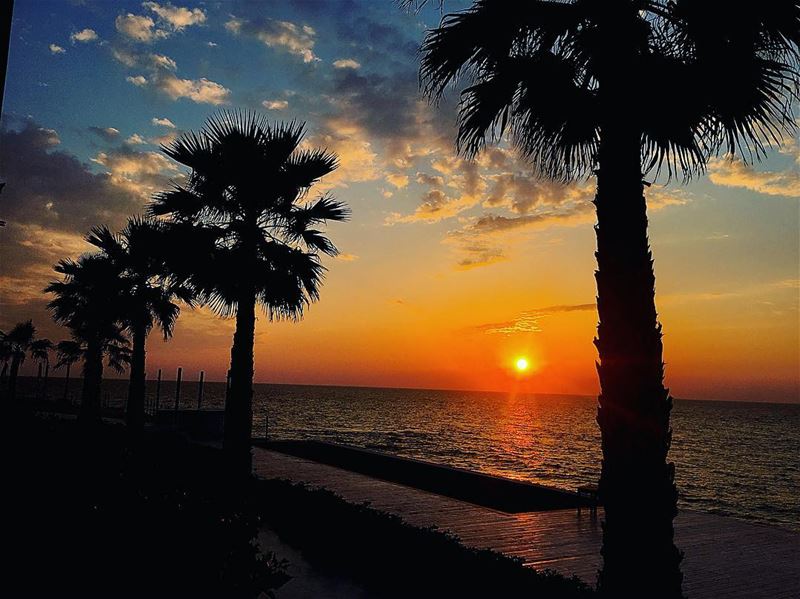 “ Sometimes I Wish It Was That Easy,To Turn Off The Lights,And Every... (Batroûn)
