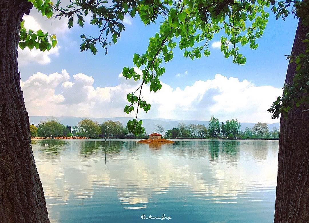Sometimes it all needs just a Single Reflection .. 💭 walk  water ... (Taanayel Lake)