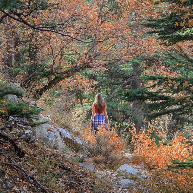 Sometimes it's absence, other times, presence. awesomeearth  nakedplanet ... (Ehden, Lebanon)