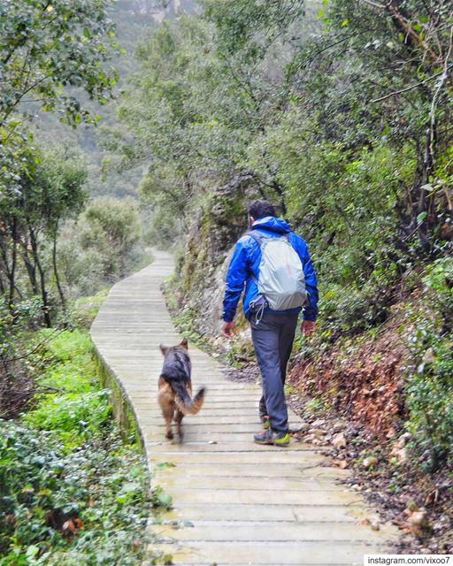 Sometimes it's the journey that teaches you a lot about... (Mseilha Walkaway - درب المسيلحة)