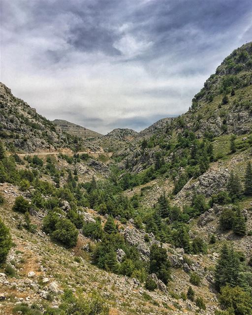 Sometimes nature is the only thing that gets your mind off of everything... (El Laklouk, Mont-Liban, Lebanon)