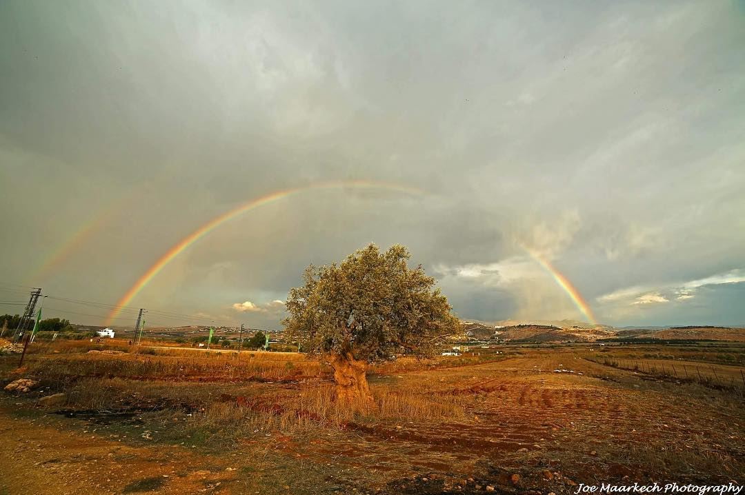 Sometimes the greatest storms bring out the greatest beauty… Life can be a... (Al Khiyam, Al Janub, Lebanon)