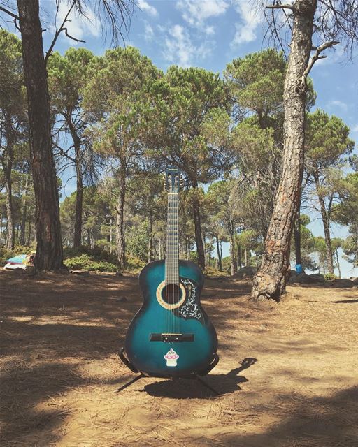 'sometimes the nicest thing to do with a guitar; is just look at it...''' (Baskinta, Lebanon)