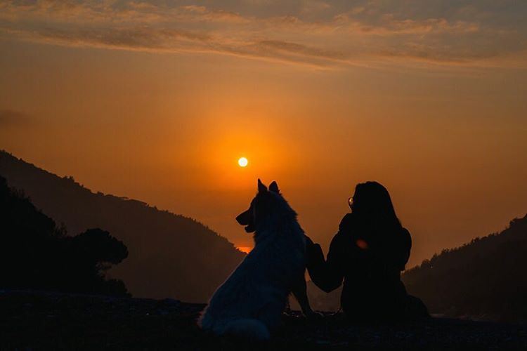 Sometimes the only thing you need is some quality time with your dog... (Aramoun - Kesrouan)