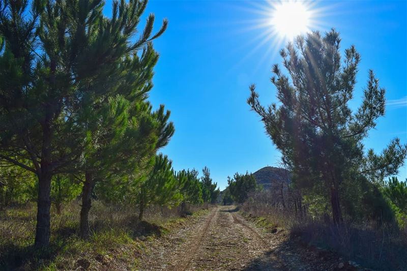 Sometimes the right path is not the easiest one🐾 landscape  landscaping ... (Somewhere On Earth)
