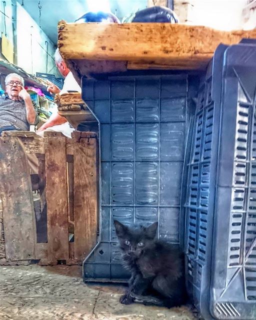 Sometimes the smallest things take up the most room in your heart 😻 ... (Tyre, Lebanon)
