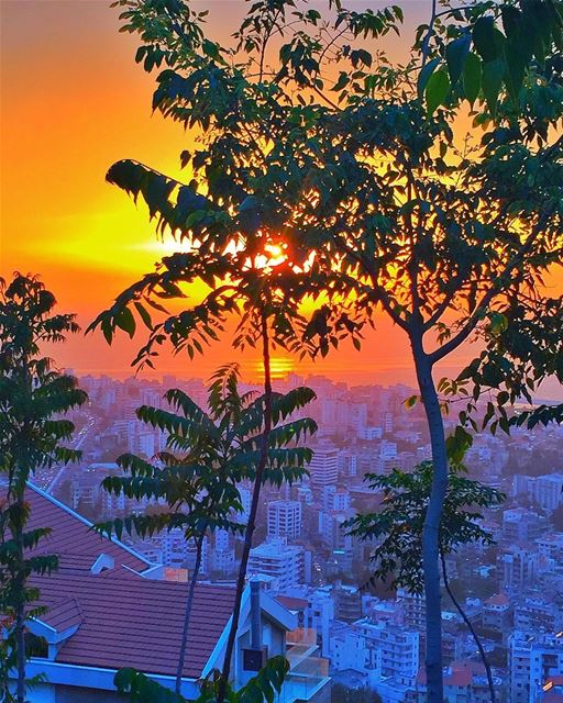 " Sometimes We Dream Under The Moon And We Hear A Million Voices,A... (جونية - Jounieh)