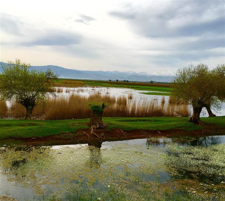 Sometimes we need to refresh our mind 🍄🐢 morning beautifulplaces... (`Ammiq, Béqaa, Lebanon)