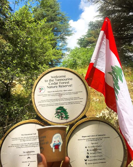 Sometimes you have to just be a tourist in your own city 🇱🇧  mylebanon.... (Arz Tannoûrîne)