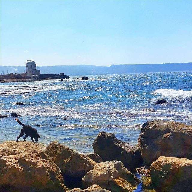 Sometimes you just have to go with the waves.🌊🌊🌊  livelovebeirut anfeh... (Anfeh)