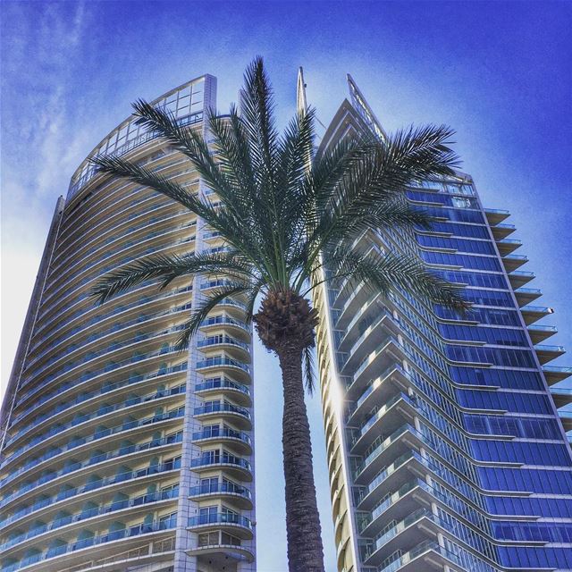 Sometimes you just have to look up 🔝  beirut  love  lebanon ... (Beirut, Lebanon)