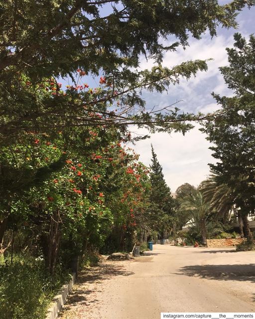 Sometimes you just need a break. In a beautiful place, alone to figure... (Bsalim, Mont-Liban, Lebanon)