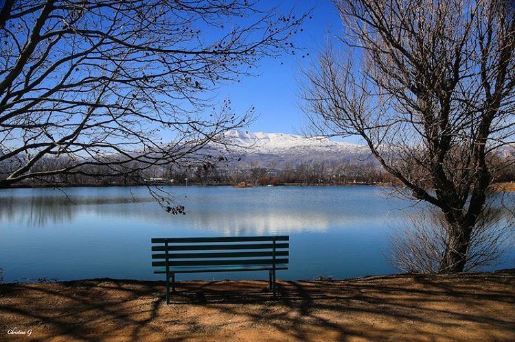 Sometimes you just need to disconnect 🍂  a7labaladbil3alam  photo  love ... (Taanayel Lake)