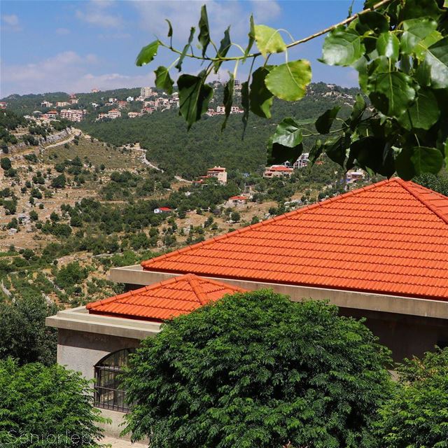 Sometimes you just need to distance yourself to see things more clearly ... (St Charbel Aanaya)