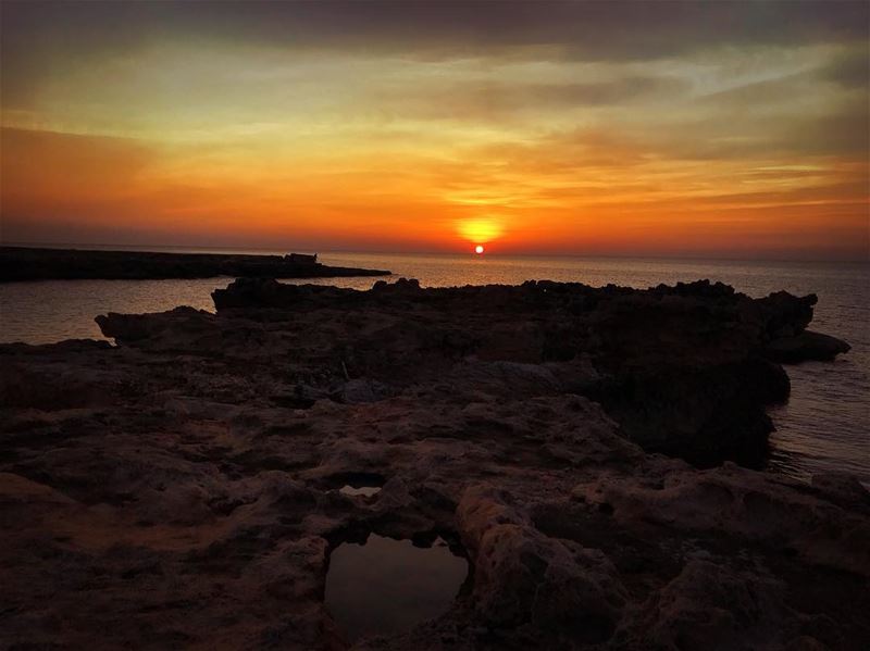 " Sometimes You Must Look Back At The Past And See Yourself How Fucked Up... (Kfar Abida)