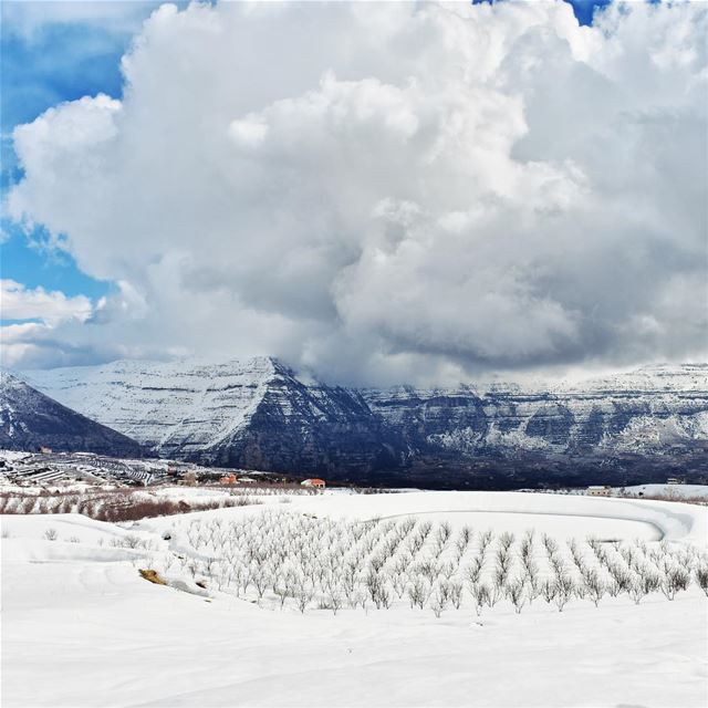 Sometimes you need to head into the clouds in order to break free of them.... (El Laklouk, Mont-Liban, Lebanon)