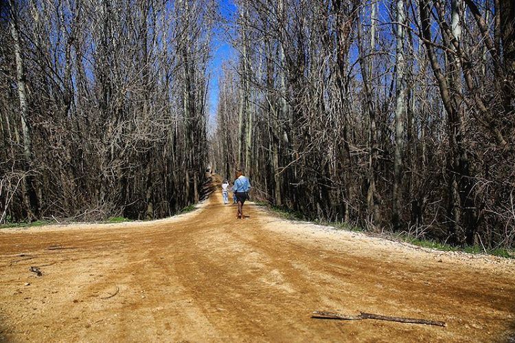 Somewhere between the start of a trail & the end is the mystery why we... (Taanayel- Bekaa)