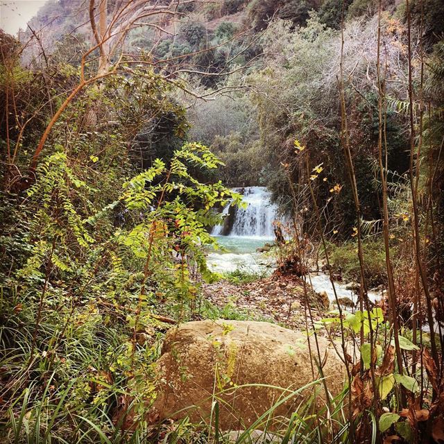 Somewhere I called the center of the earth! falls  chouf  livelovechouf ... (Al Jahiliyah, Mont-Liban, Lebanon)