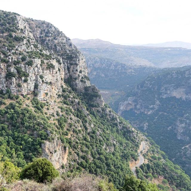 Somewhere in Mount Lebanon..  throwback  lebanon  tb  livelovebeirut ... (Mount Lebanon)
