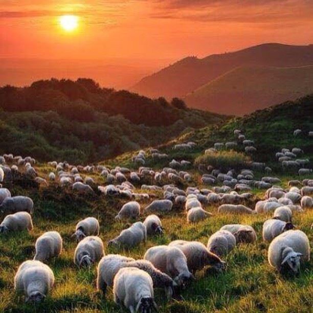" SomeWhere In The Mountain..."  whatsuplebanon batrountraders...