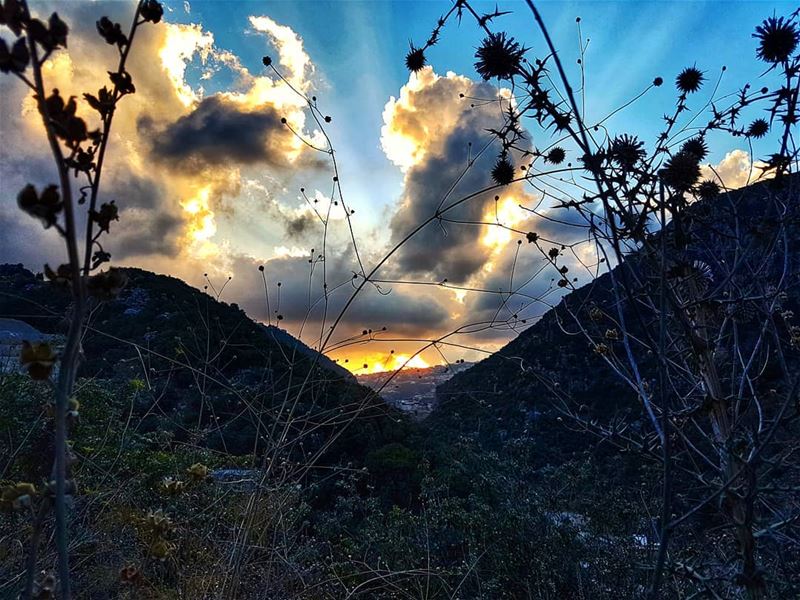 Somewhere in the valley sunset  sunset_vision  sunset_lovers  sunsetsky ... (Abou Mîzâne, Mont-Liban, Lebanon)