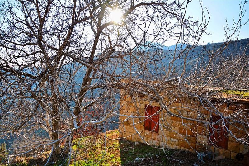 Somewhere lost between Winter and Spring. explore  earth  earthpix ...